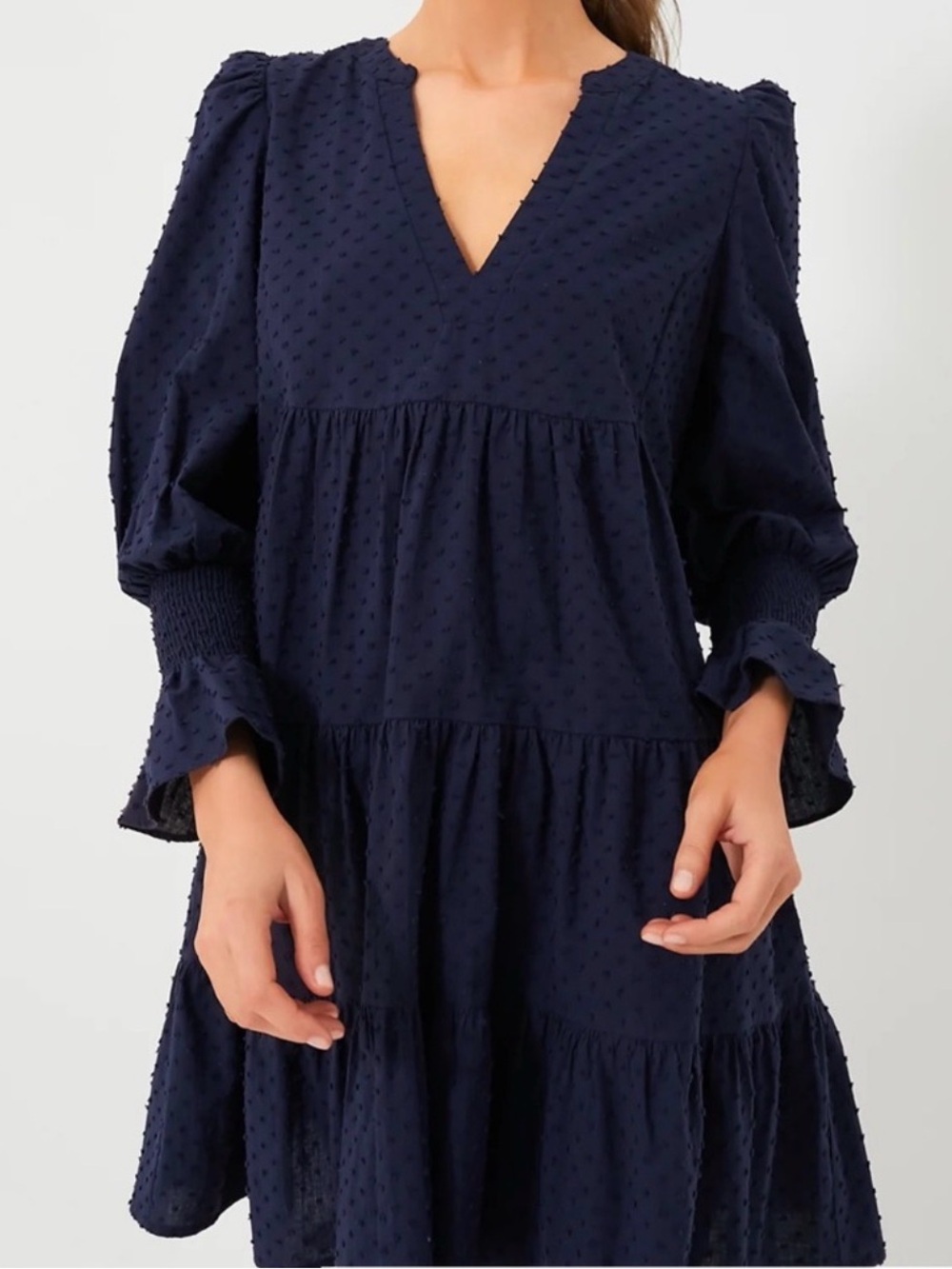 Pomander Place Kenzo Dress in Navy Swiss Dot - Like New